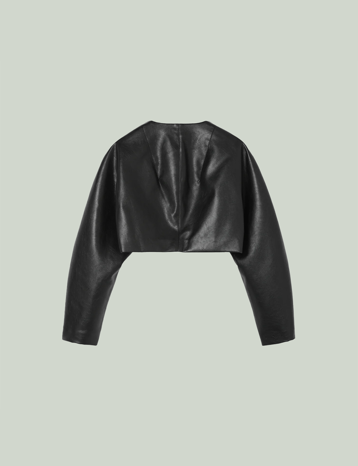 Curve Sleeve Blouson / black