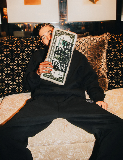 OG DOLLAR BILL CUSHION